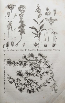 Целебный источник здоровья (домашний лечебник)... М., 1867.
